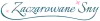 Logo firmy Zaczarowane Sny